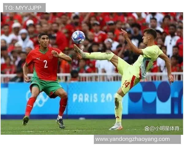 摩洛哥体育明星在国际体育界的排名及影响力分析