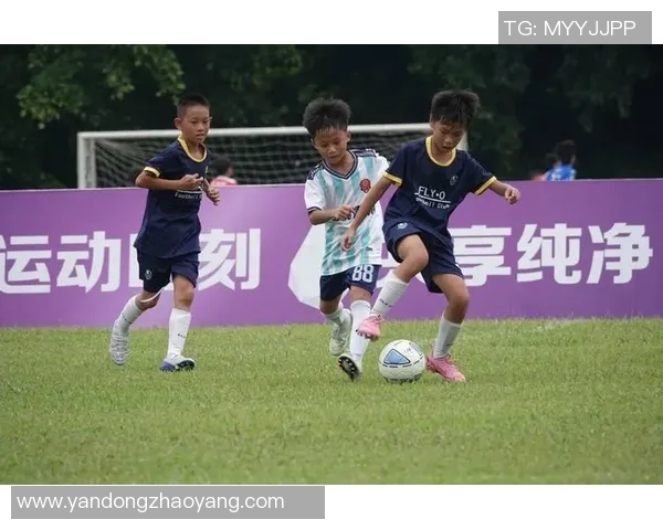 姓Lee的足球明星们在绿茵场上的辉煌成就与传奇故事