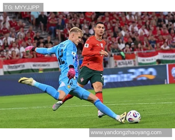 葡萄牙足球明星大卫的辉煌职业生涯与传奇成就回顾